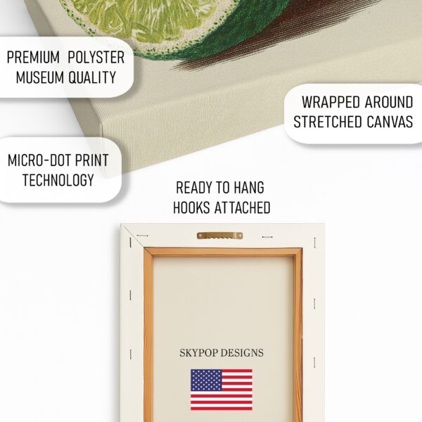 Zesty Lime Botanical Art