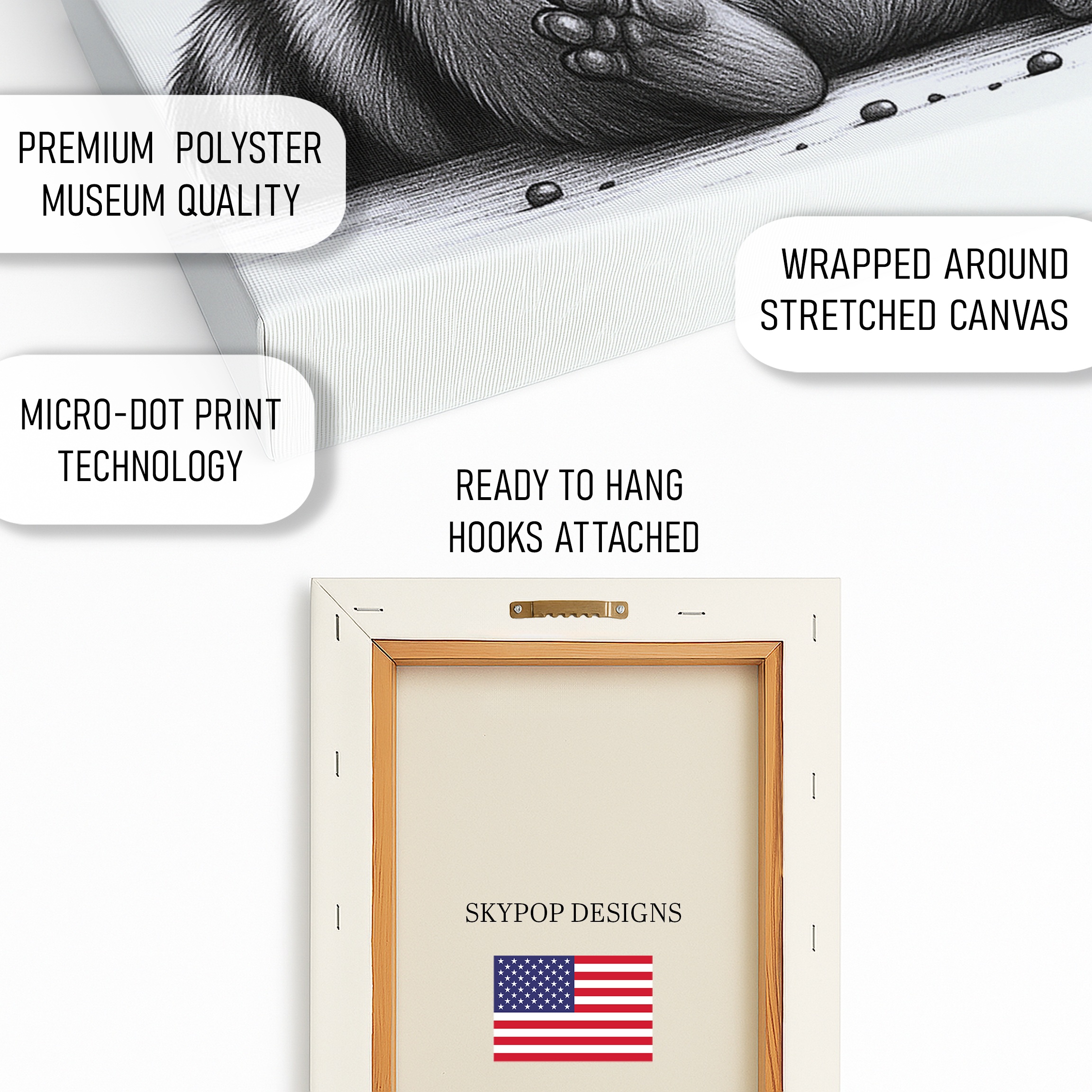 4.jpg Raccoon Art