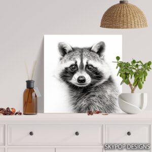 Raccoon Art