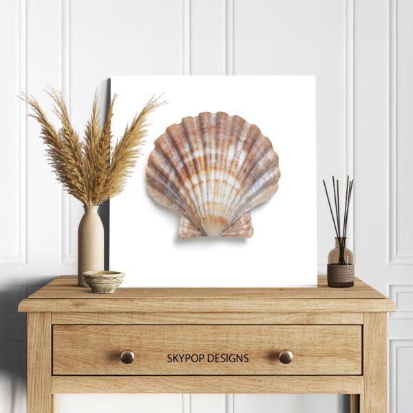 Seashell Art
