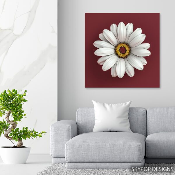 White Daisy Art