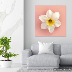 Daffodil Bloom Art