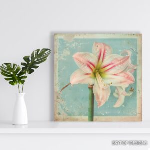 Amaryllis Art