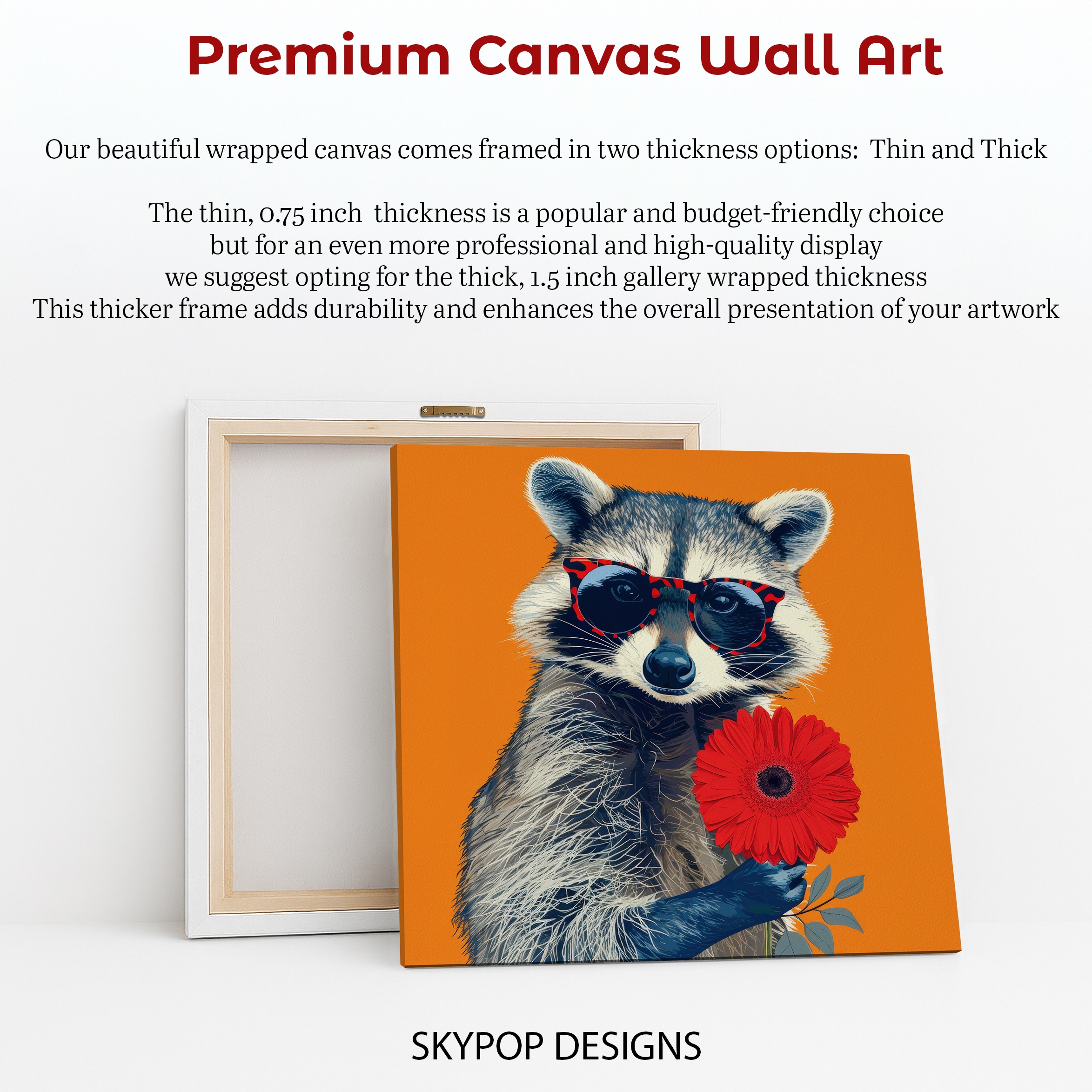 6.jpg Raccoon Art