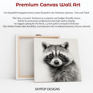 Raccoon Art