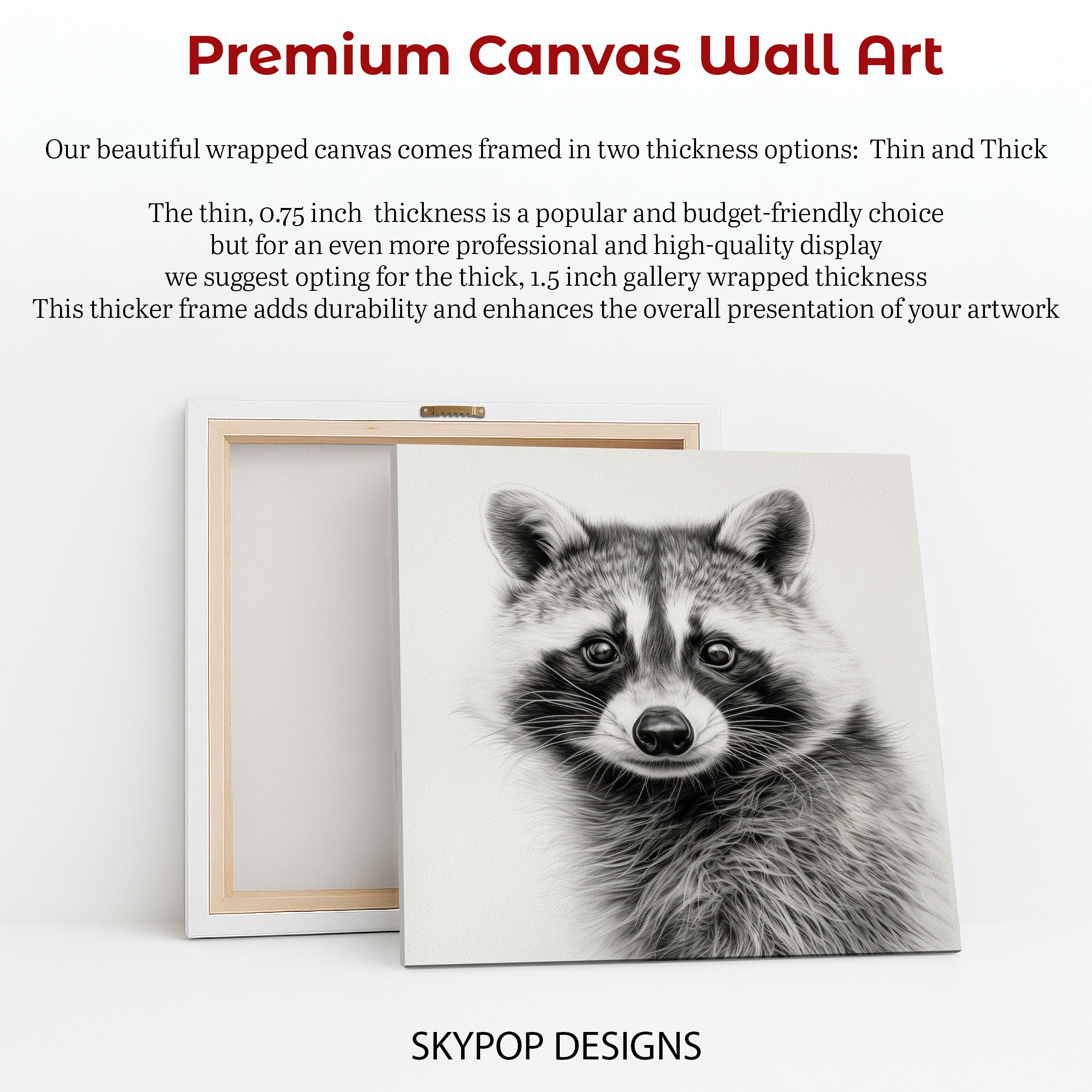 6.jpg Raccoon Art