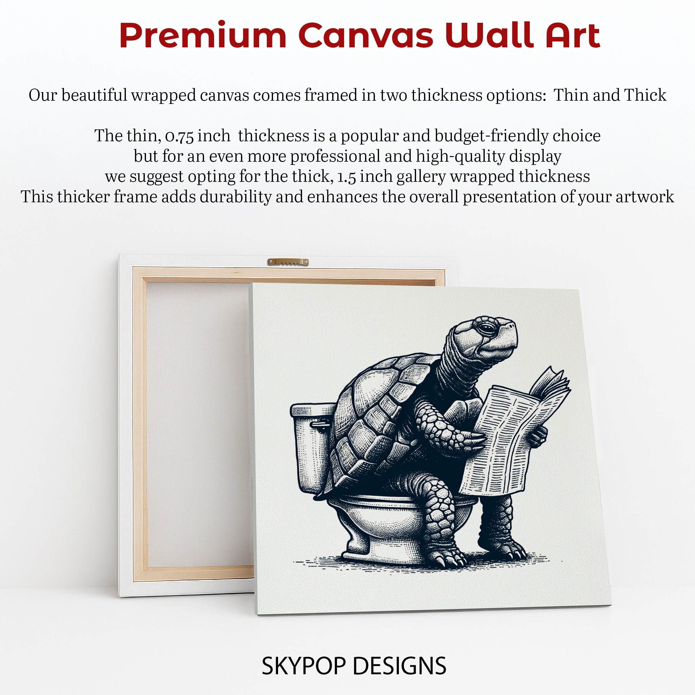 6.jpg Turtle Art