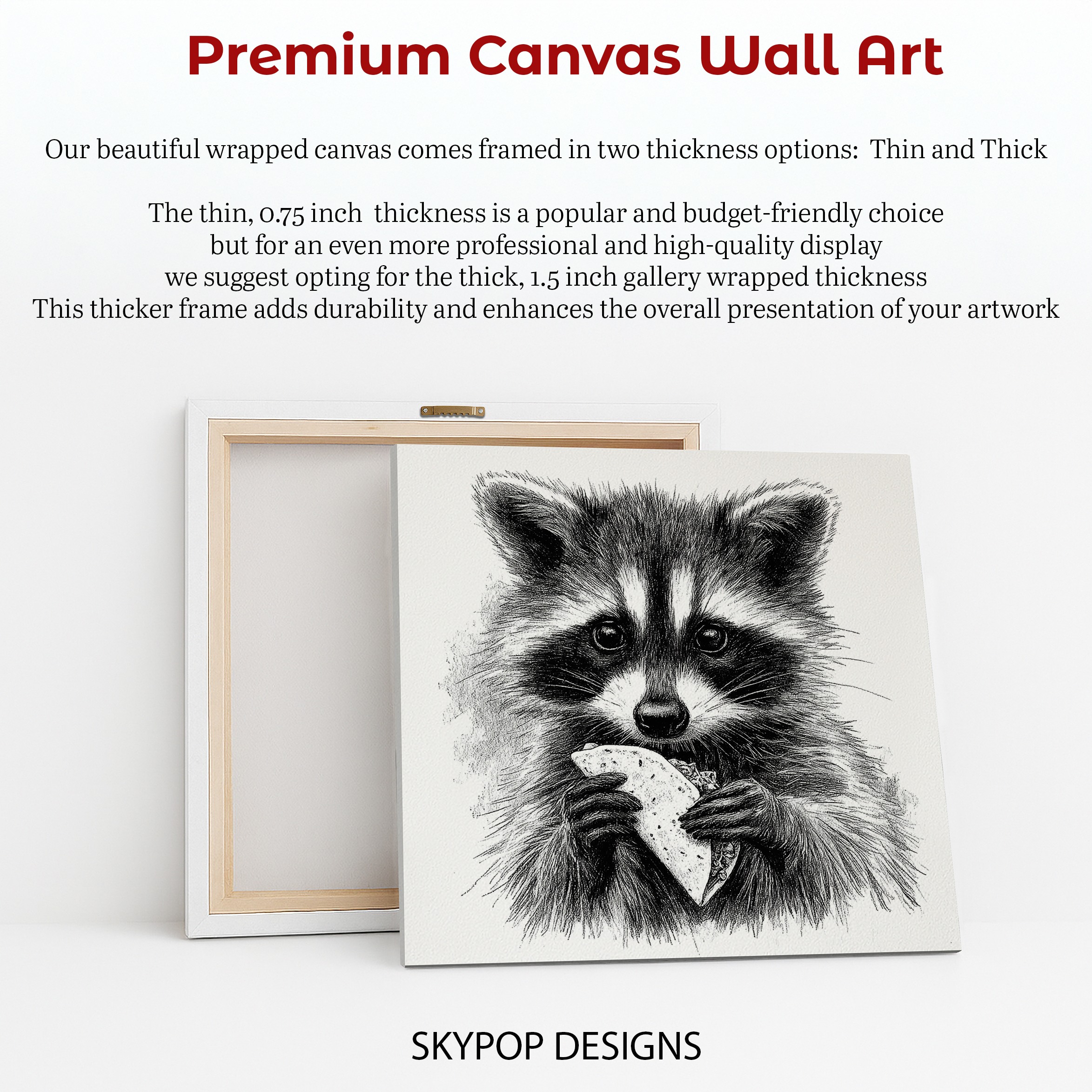 6.jpg Raccoon Art