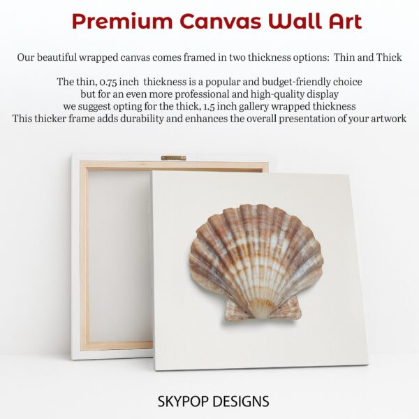 Seashell Art