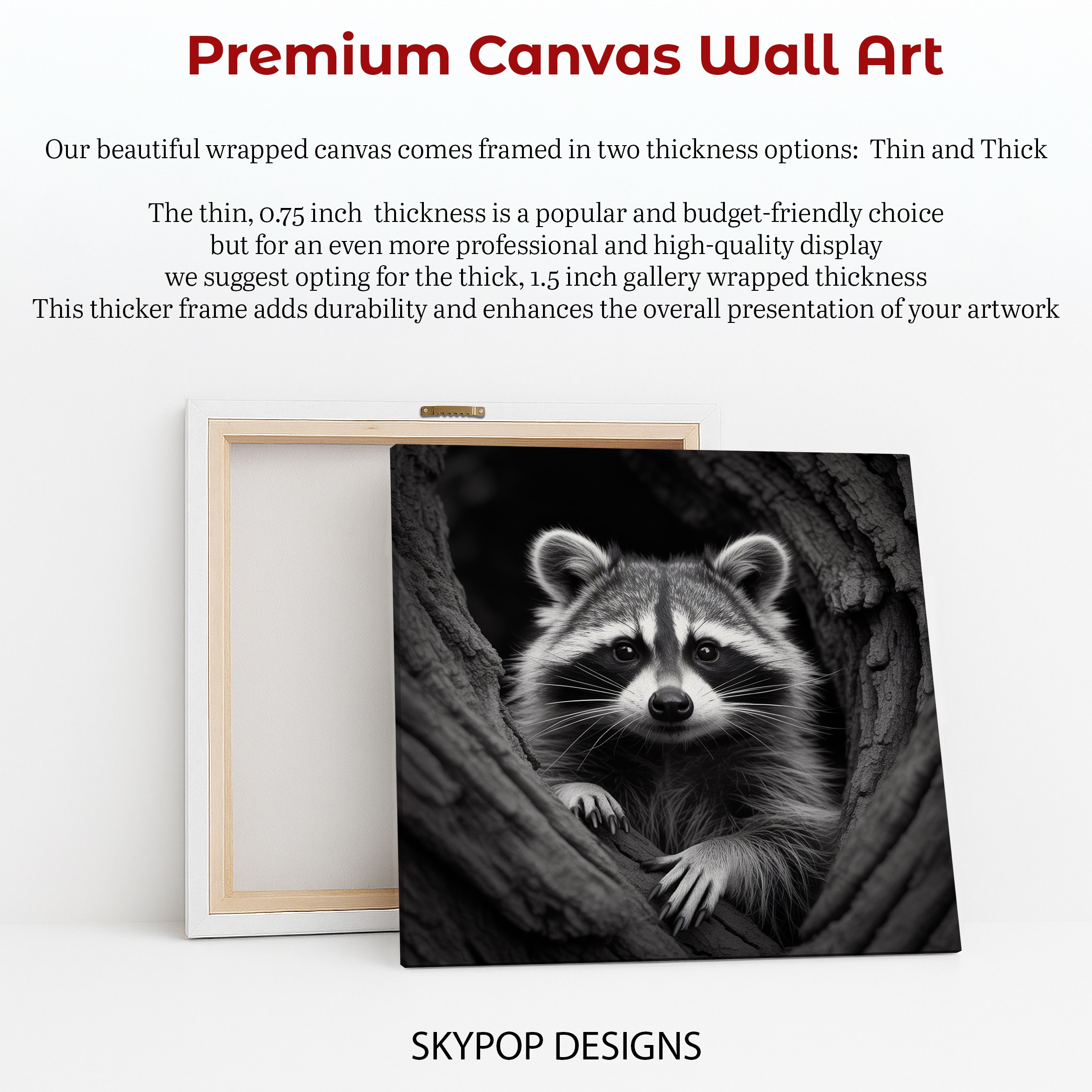 6.jpg Raccoon Art