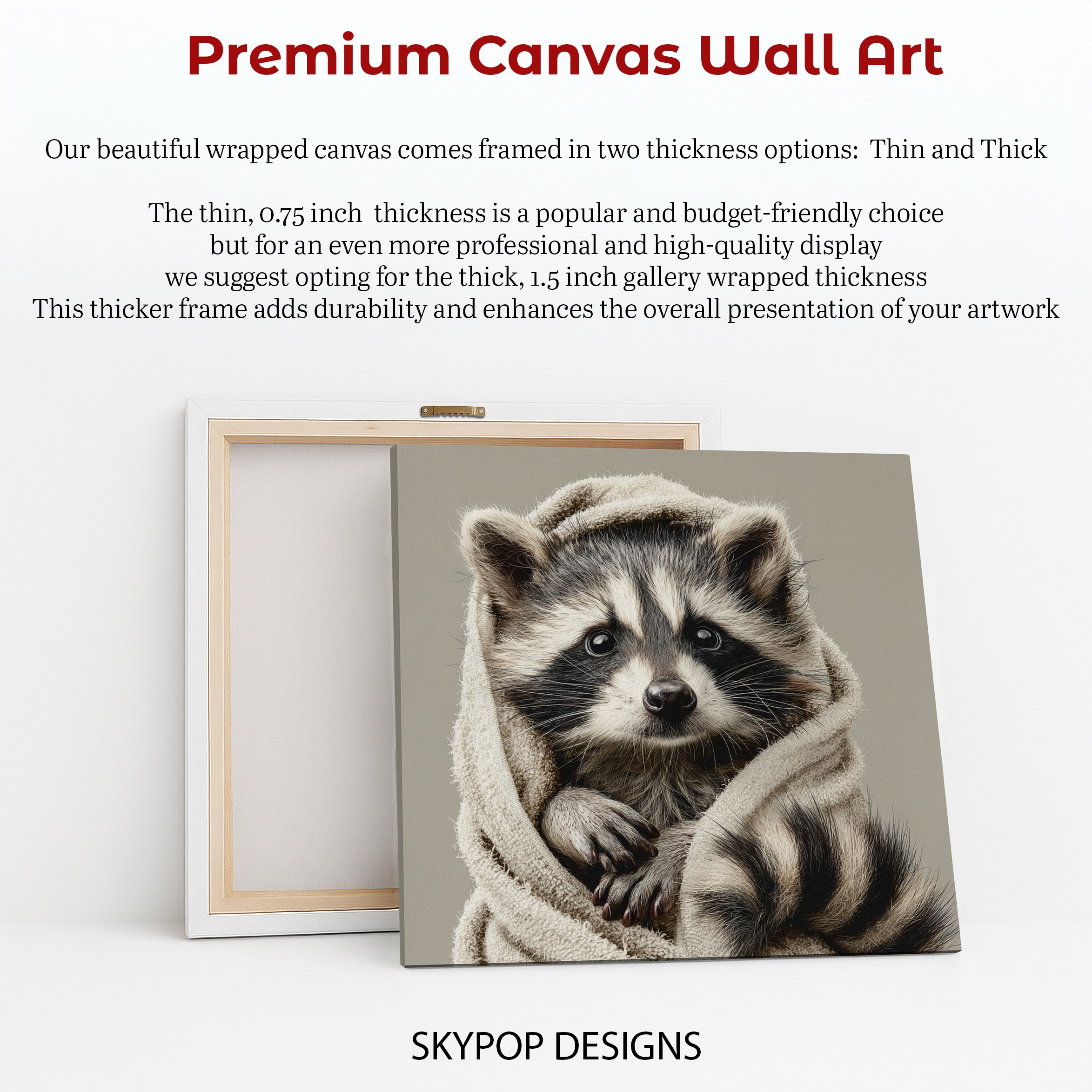 6.jpg Raccoon Art