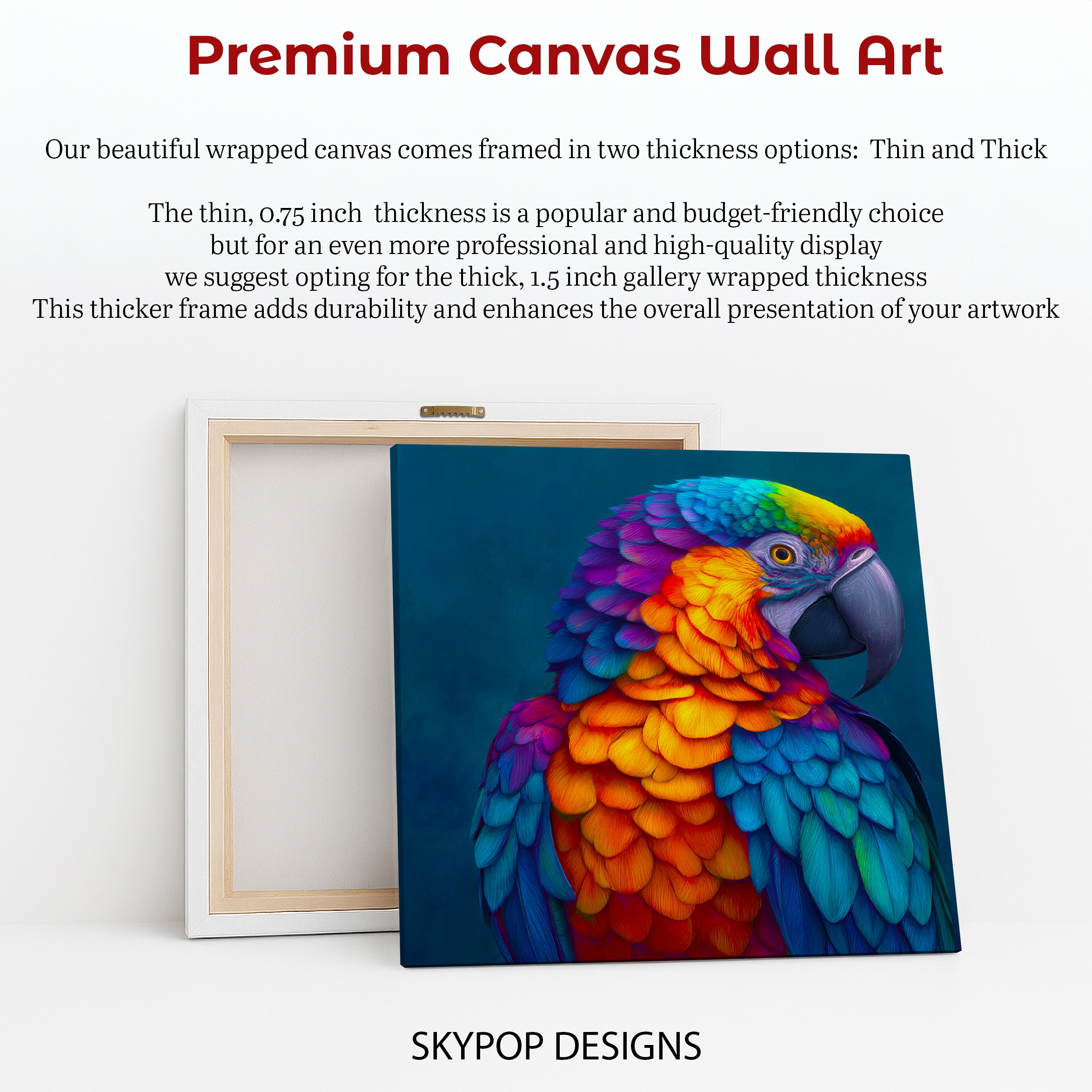 6.jpg Macaw Art