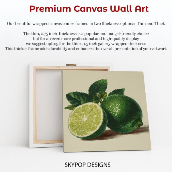 Zesty Lime Botanical Art