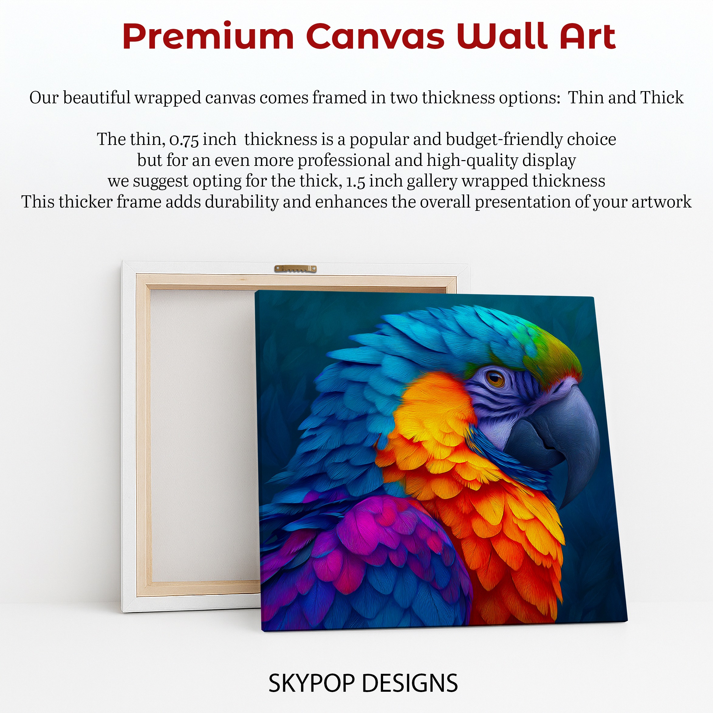 6.jpg Macaw Art