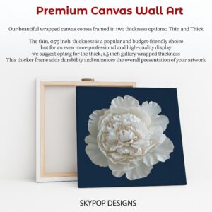 White Peony Bloom Art