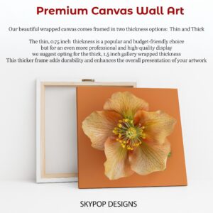 Hellebore Art