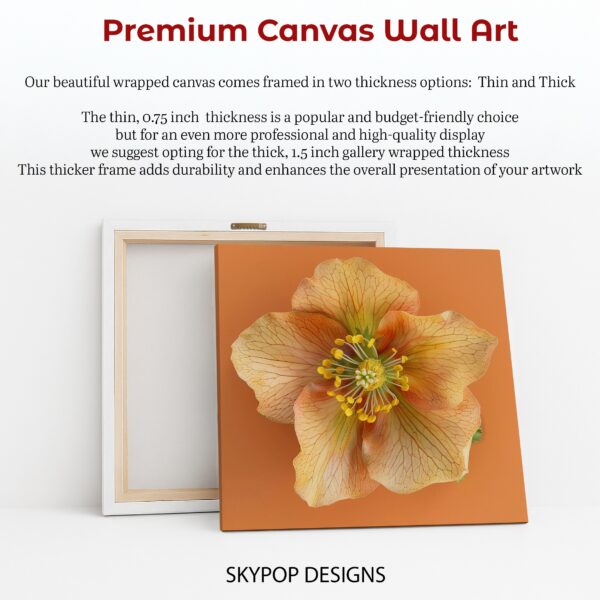 Hellebore Art