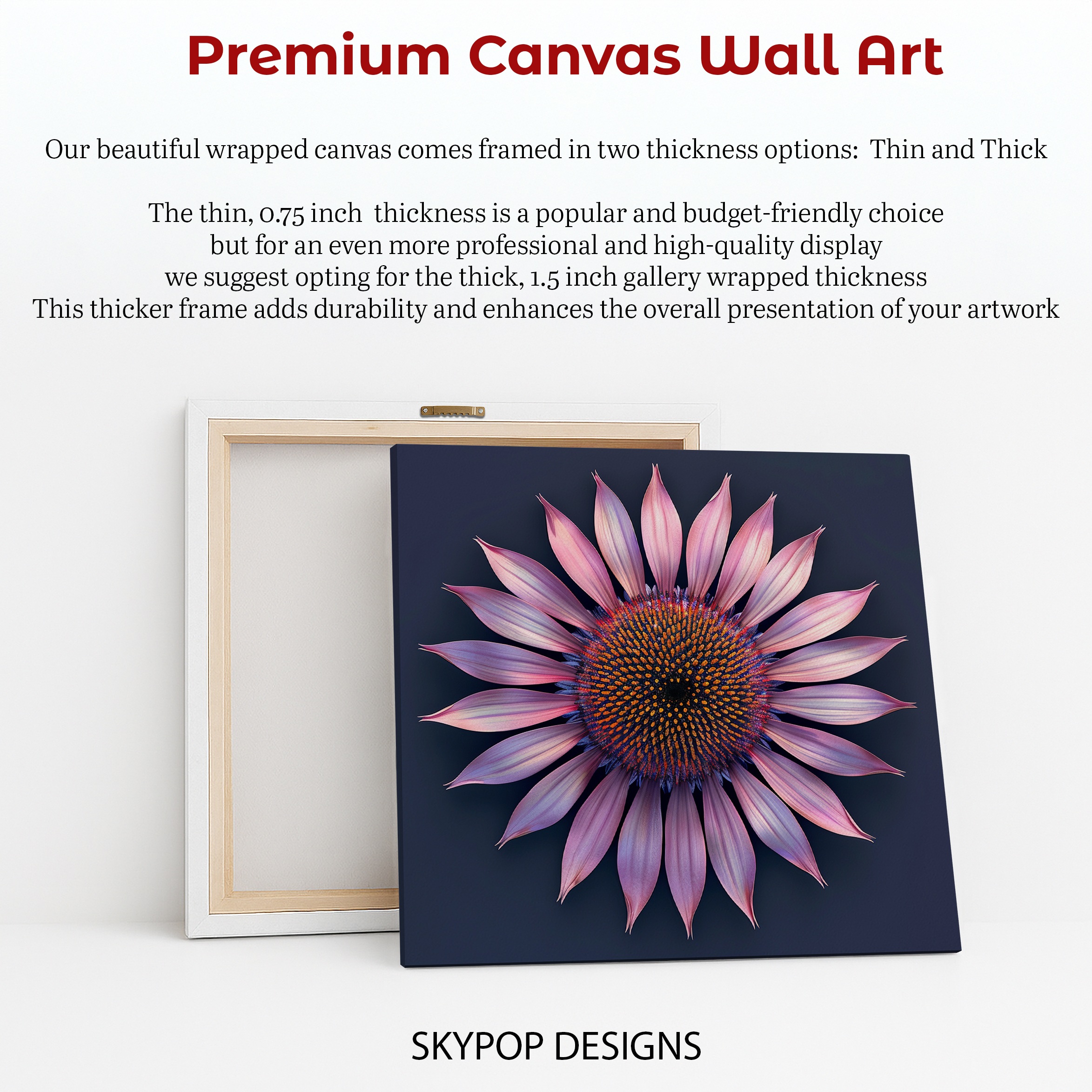 6.jpg Coneflower Art
