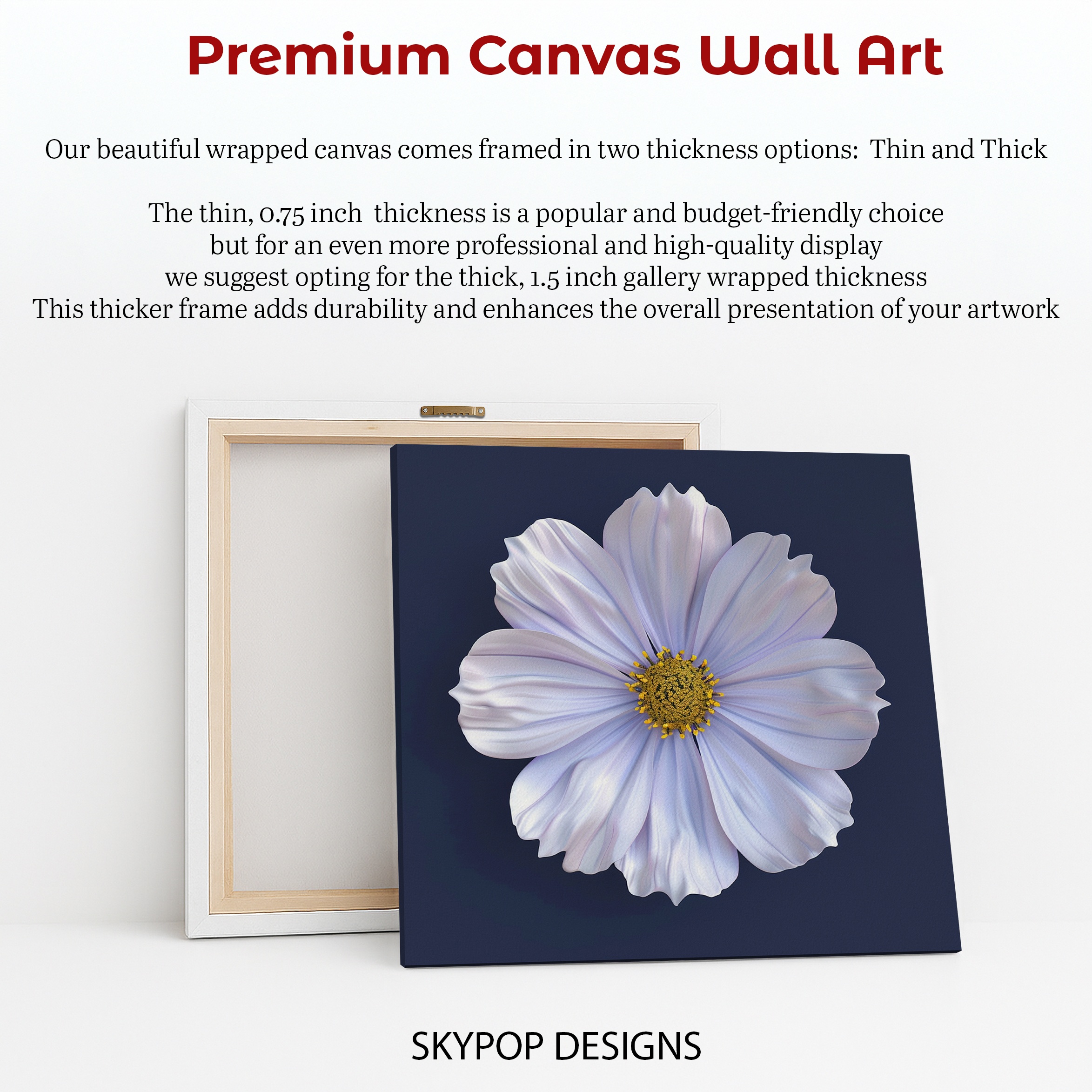 6.jpg Cosmos Flower Art