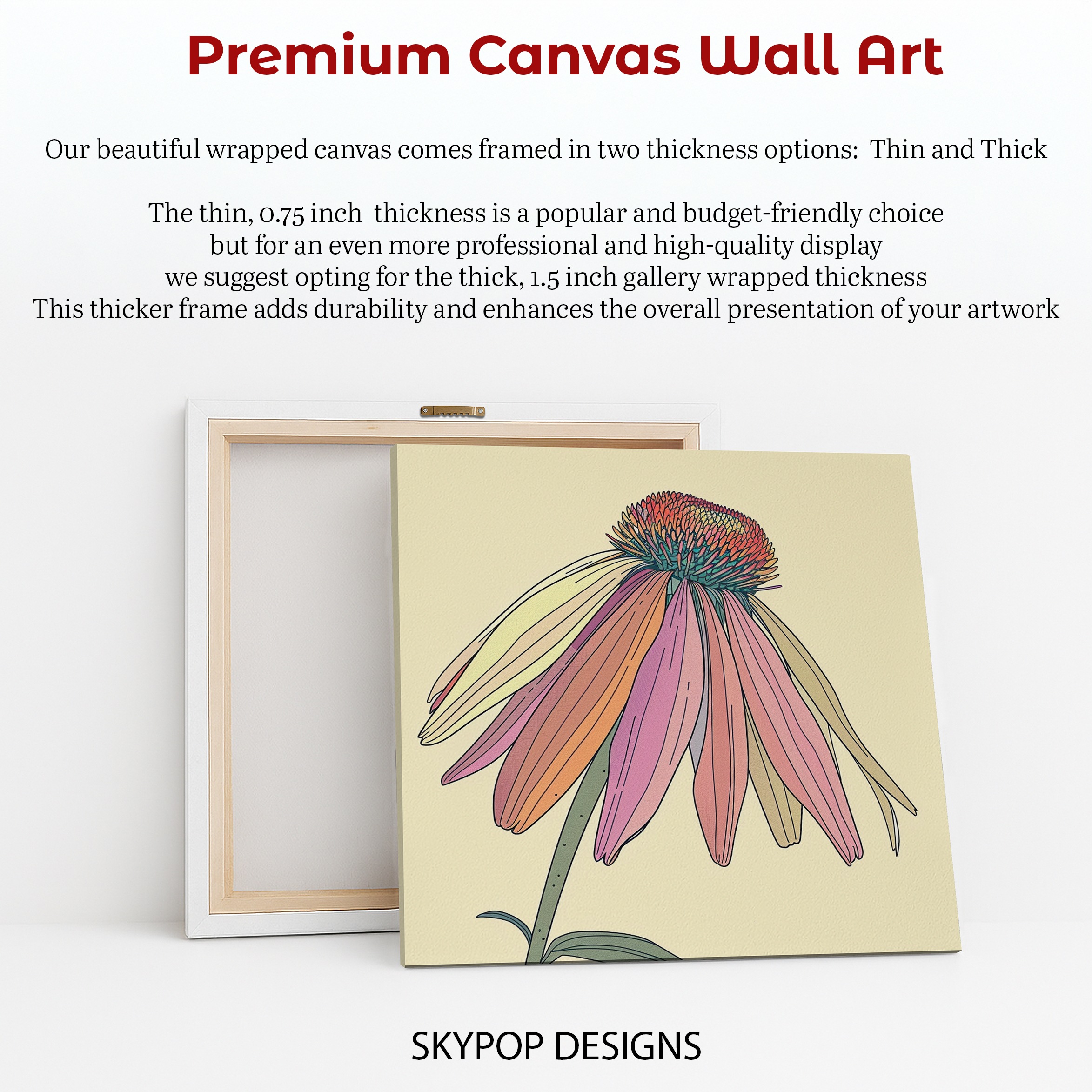 6.jpg Coneflower Art
