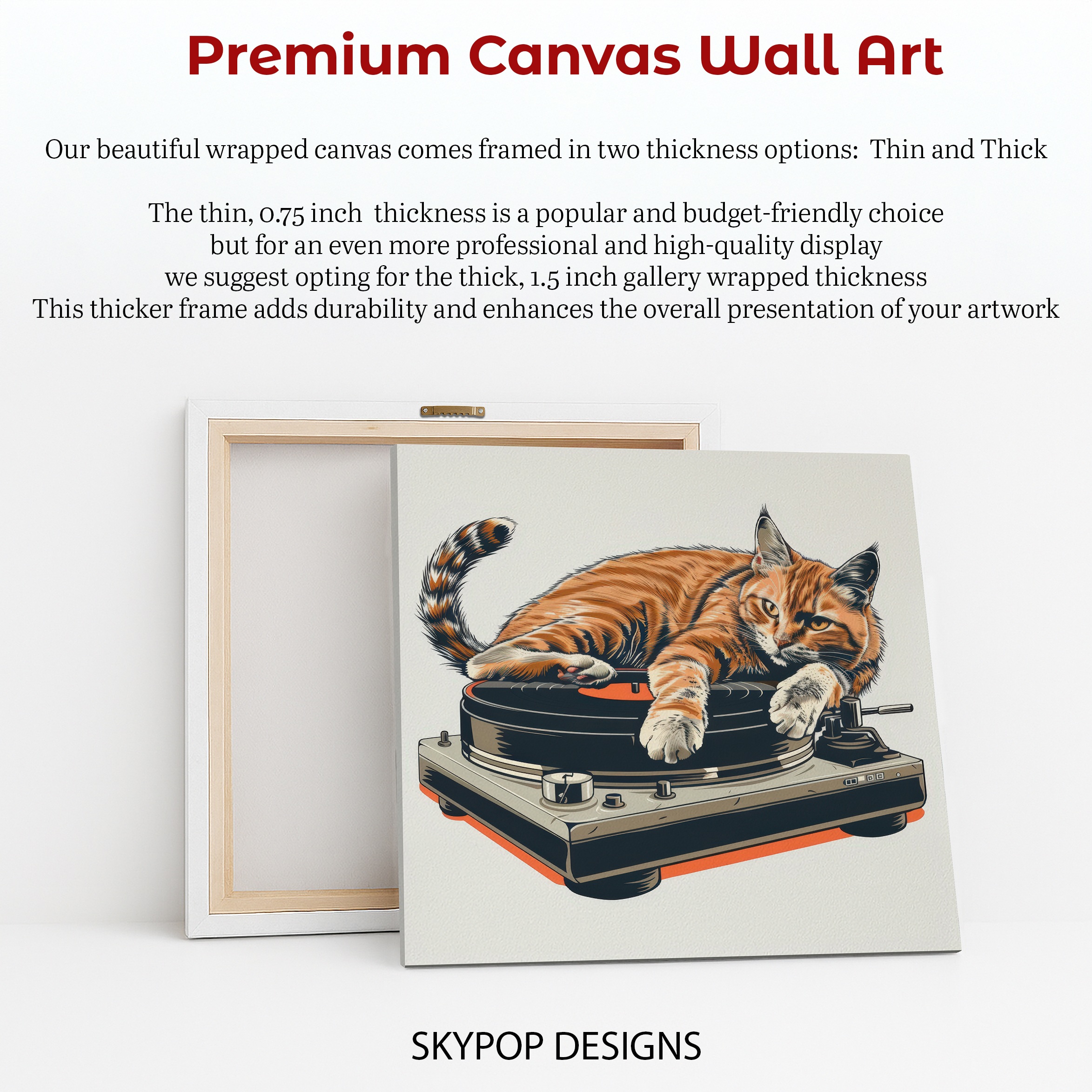 6.jpg Cat DJ Vinyl Art