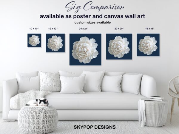 White Peony Bloom Art