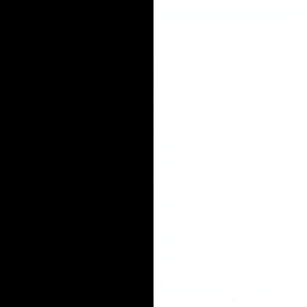 Black and White