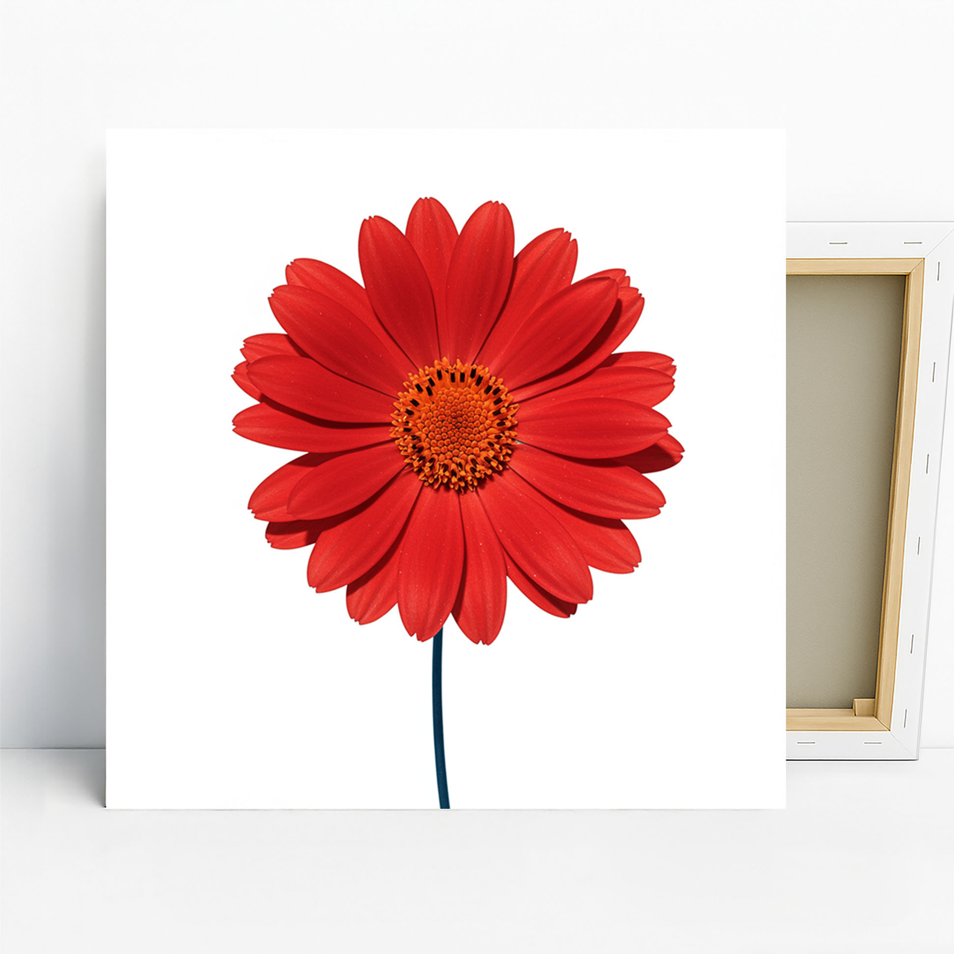 1.jpg Red Daisy Art