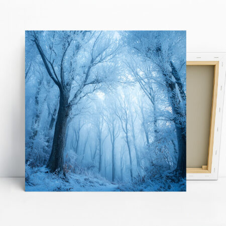 Frosted Forest Path Art