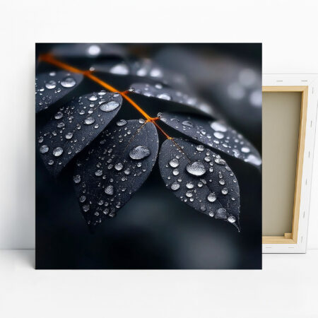 Dew Drops Leaves Art