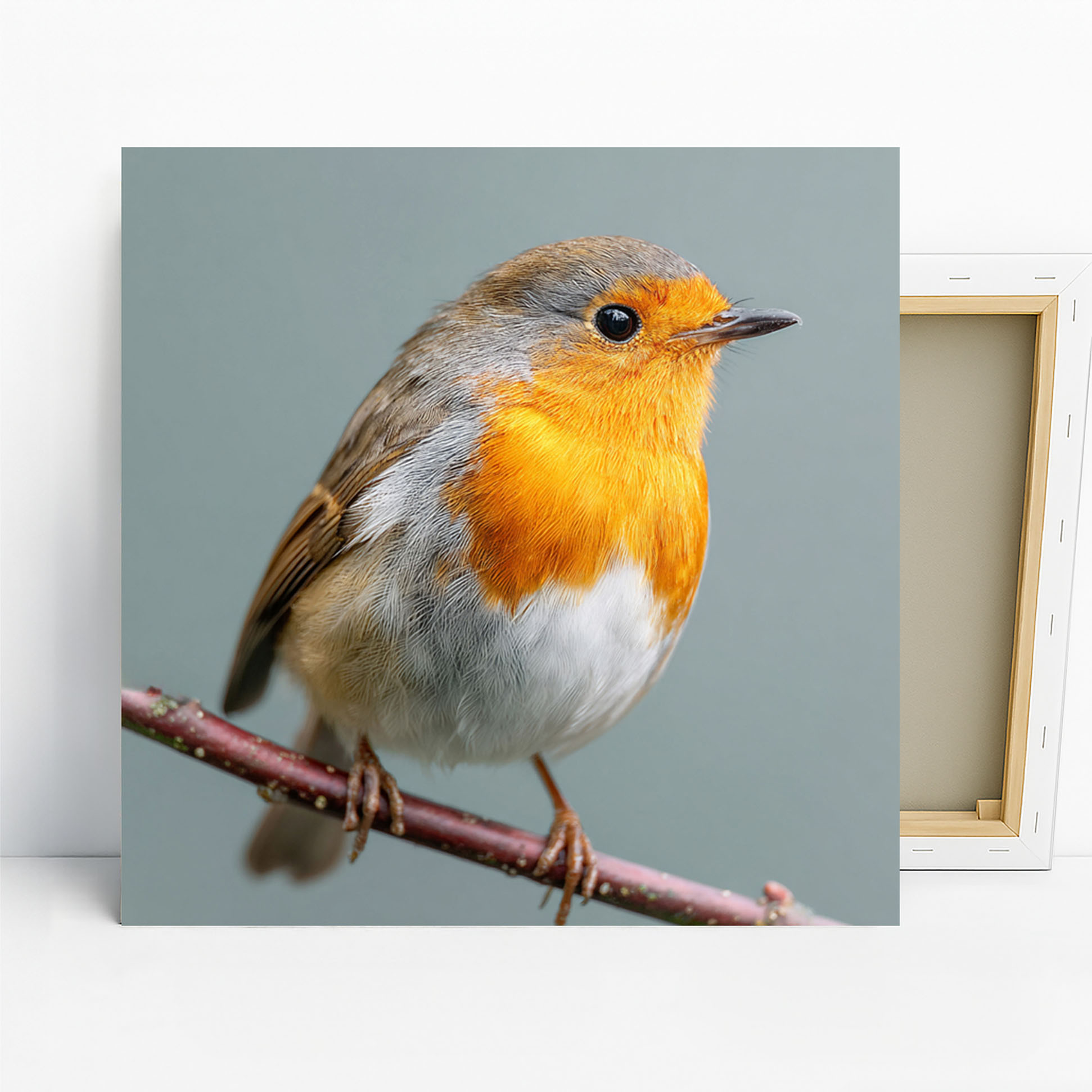 Robin Perch Art