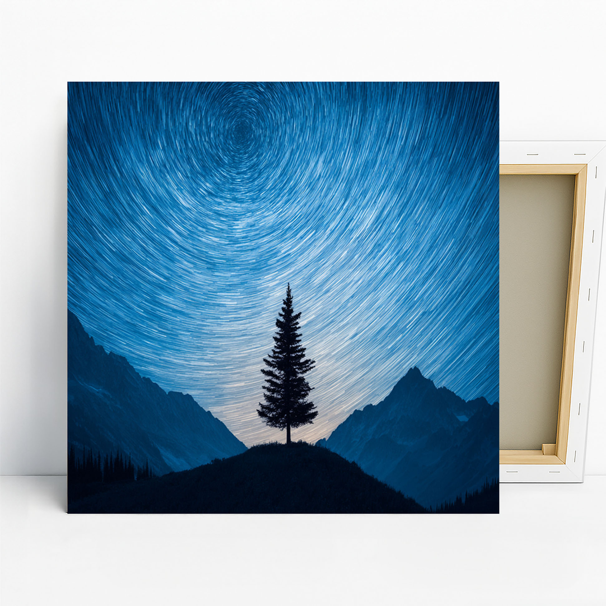 Star Trails Tree Silhouette Art