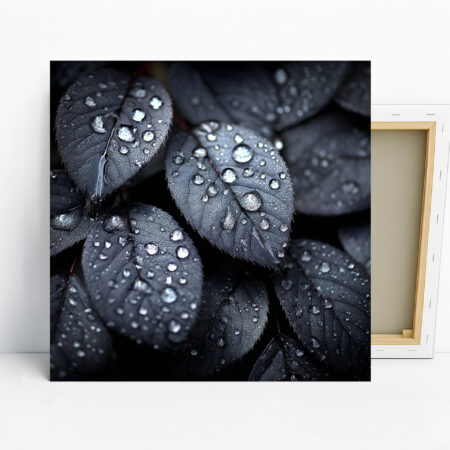 Dew Drops on Dark Leaves Art
