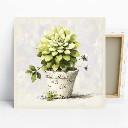 Succulent Pot Art