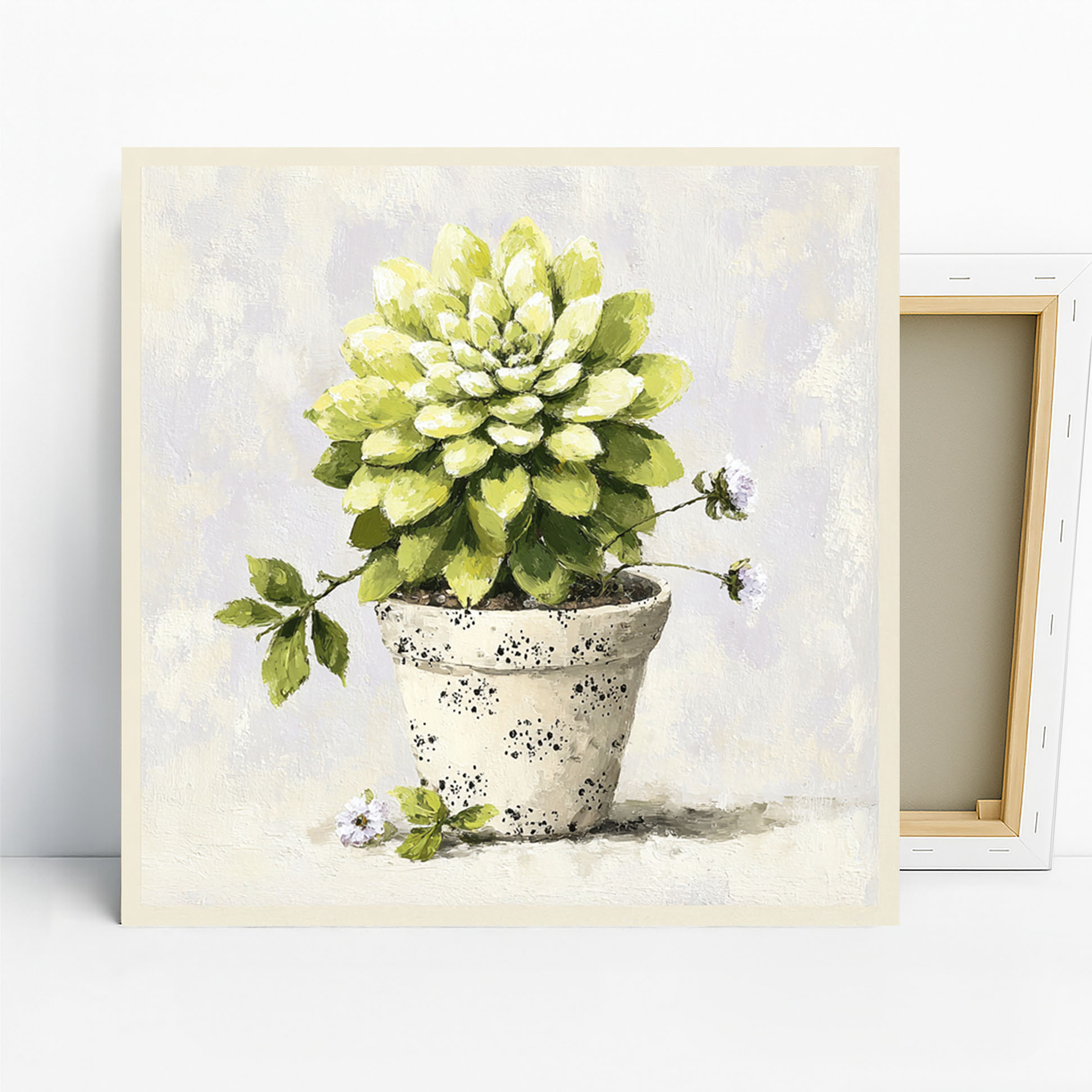 Succulent Pot Art