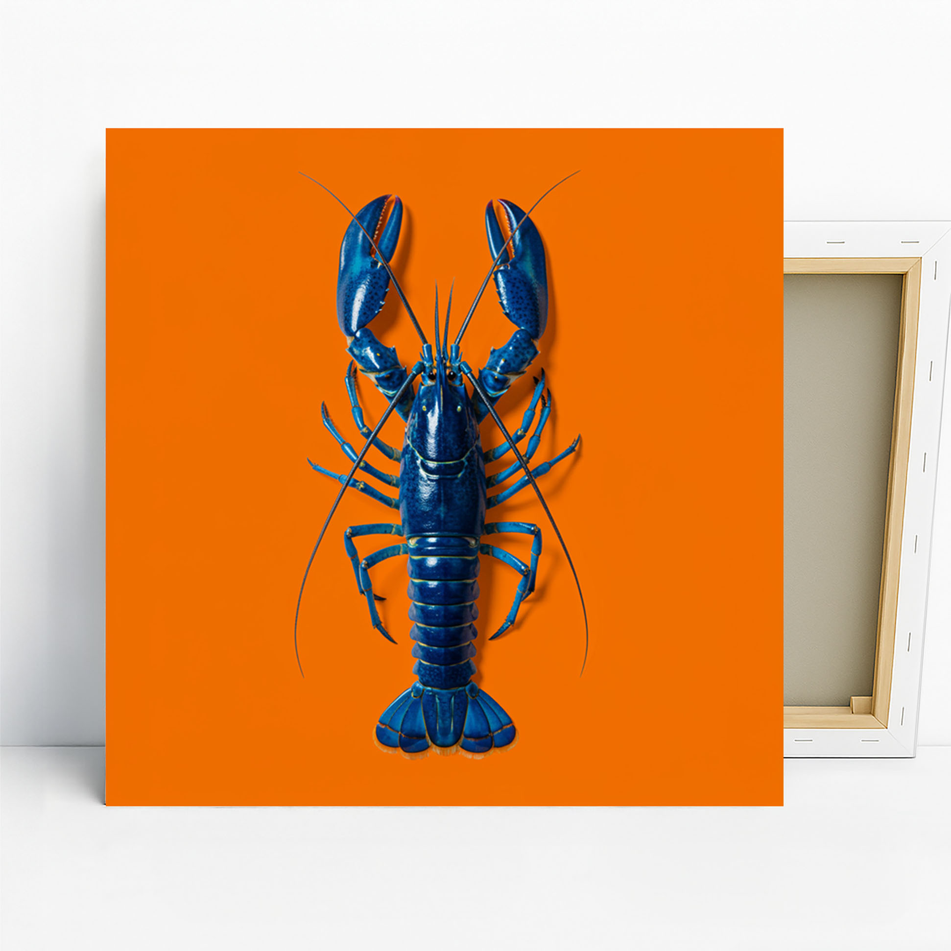 1.jpg Lobster Art