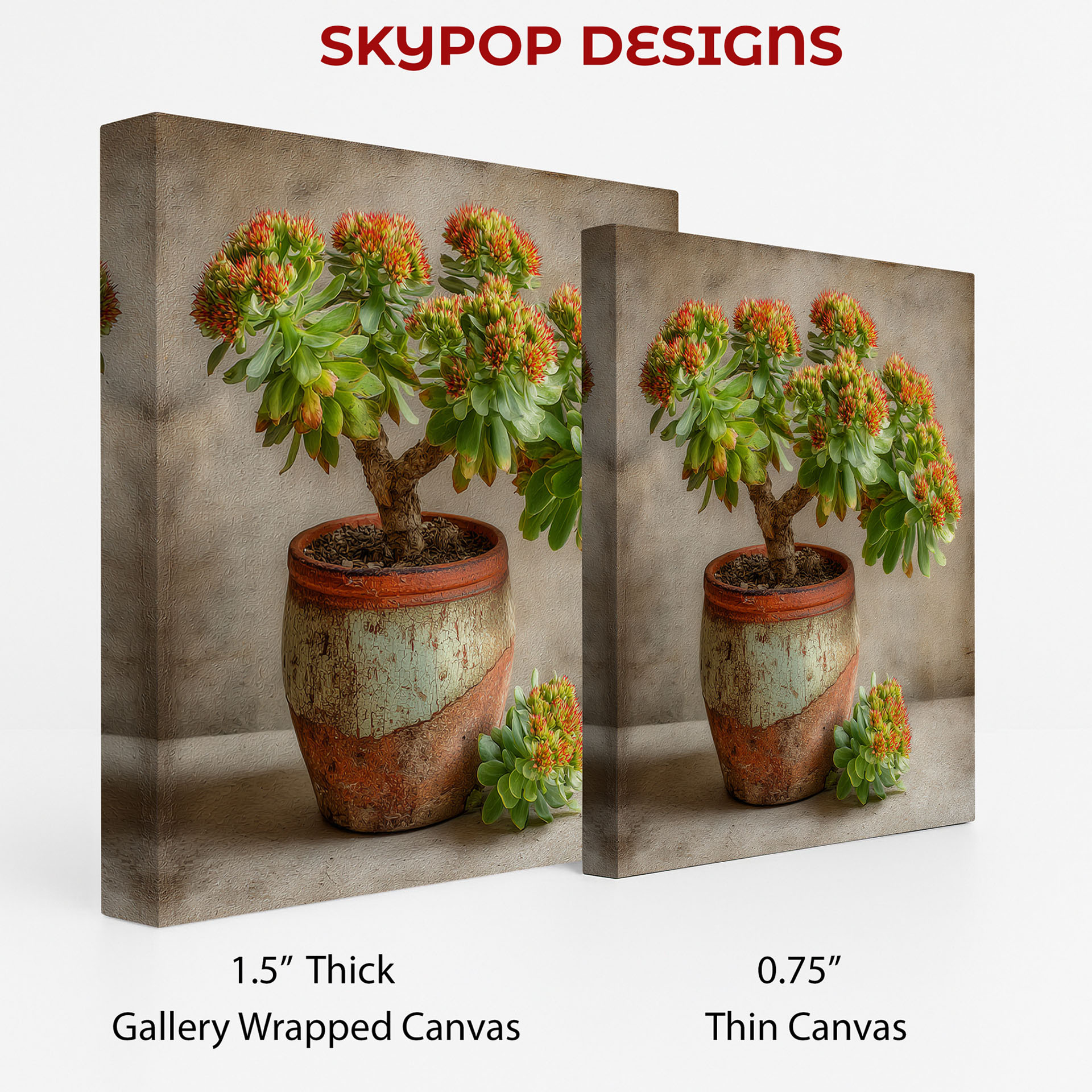 2.jpg Succulent Art