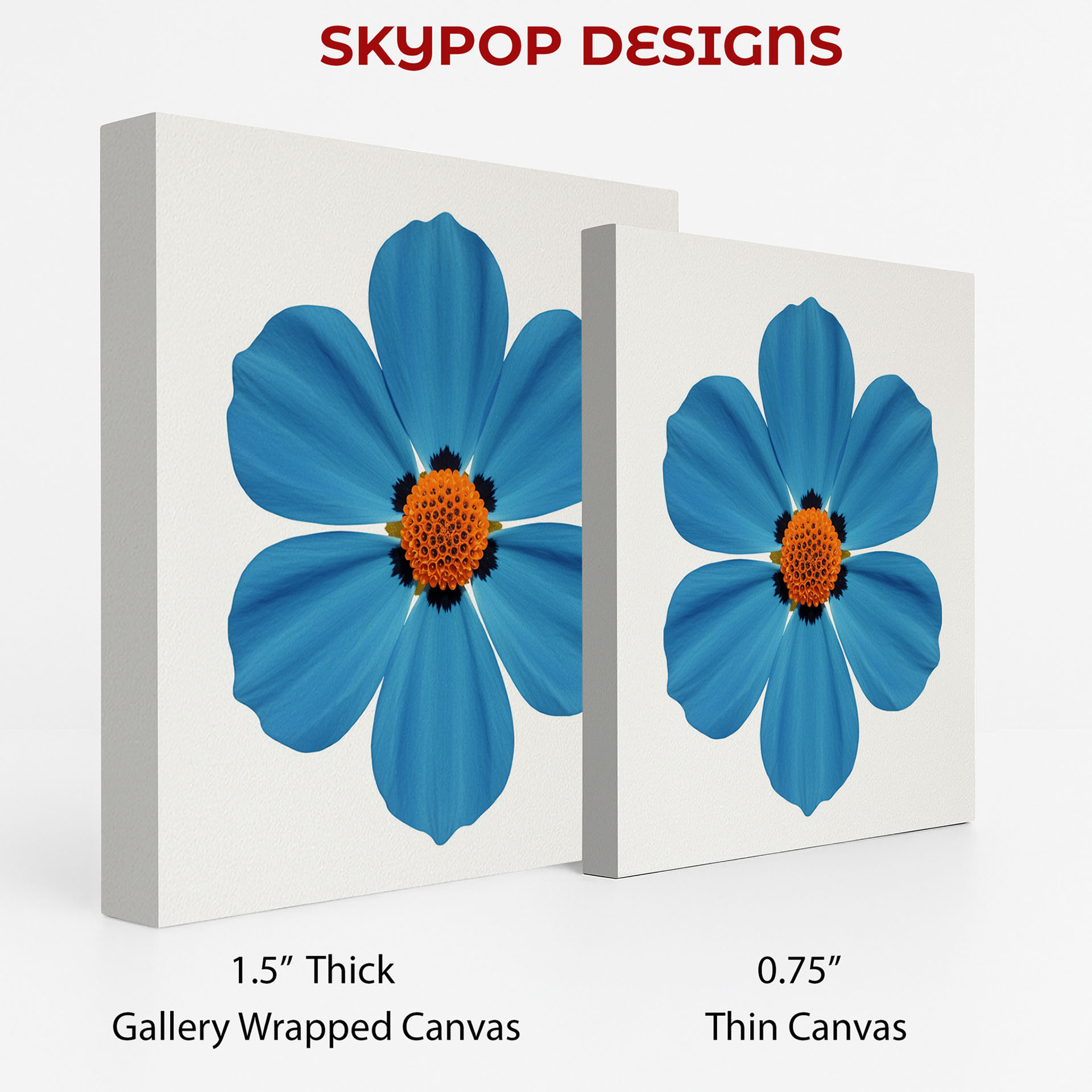 2.jpg Cosmos Flower Art