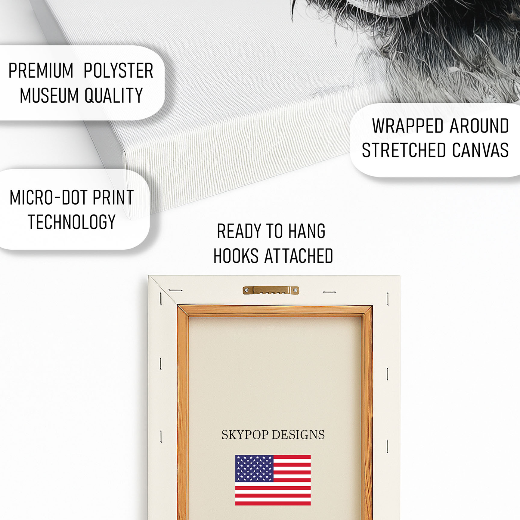 4.jpg Donkey Daisy Art