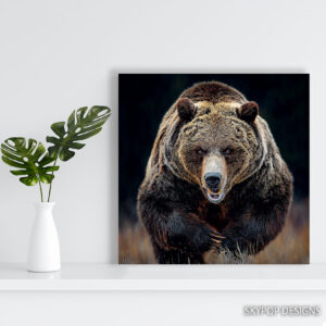 Grizzly Bear Roar Art