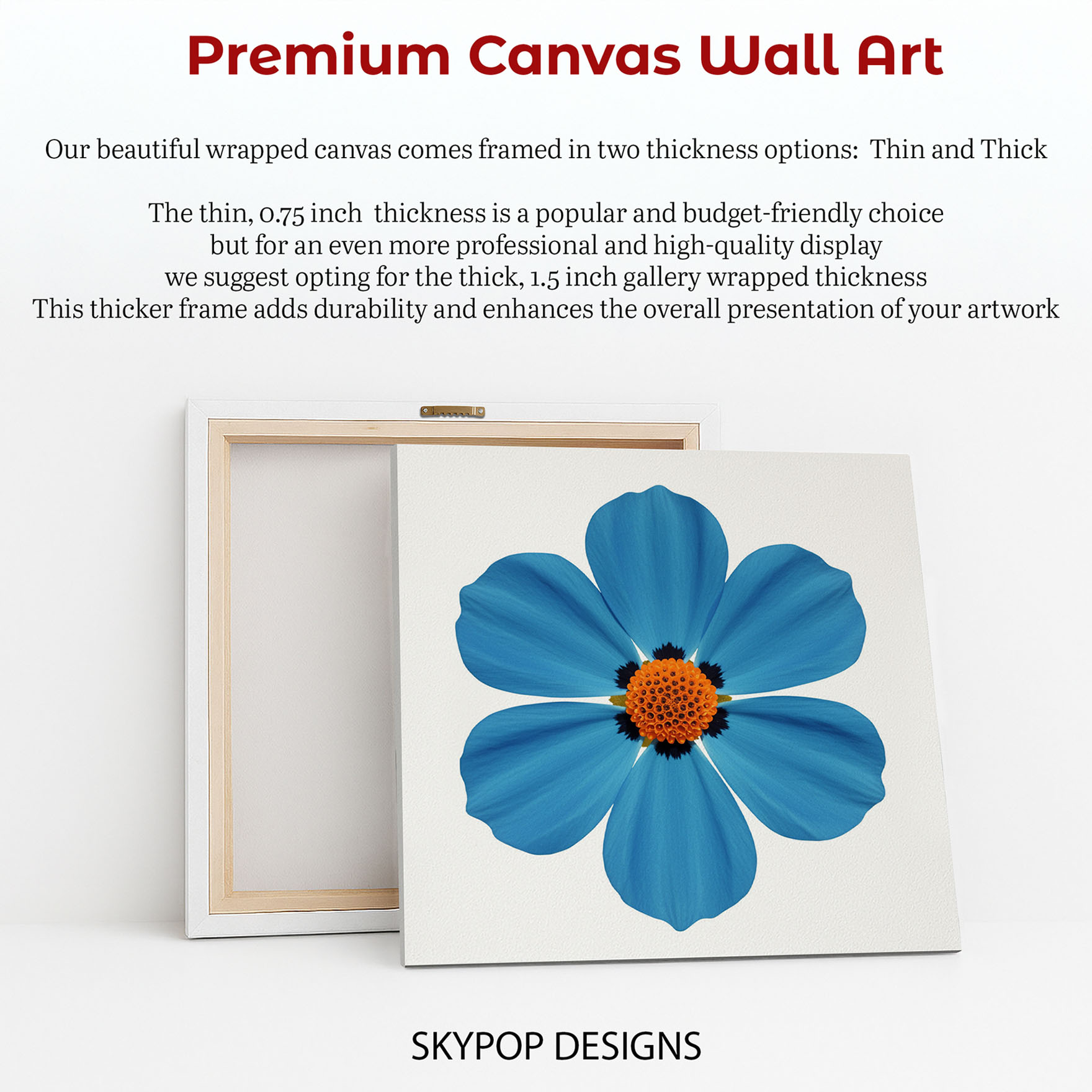 6.jpg Cosmos Flower Art